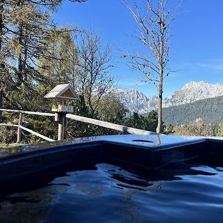 Chalet Orlica Velika Planina Stahovica Dış mekan fotoğraf