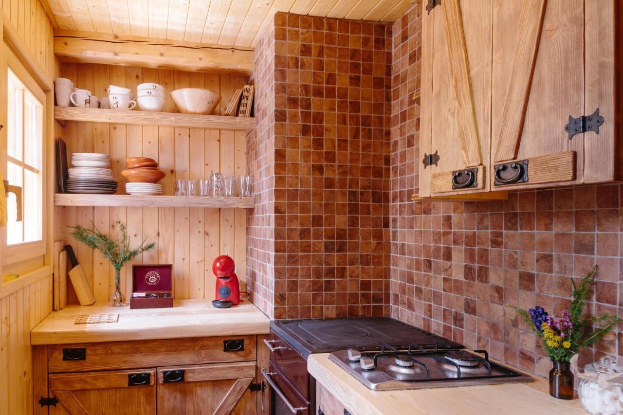 Chalet Orlica Velika Planina Stahovica Dış mekan fotoğraf