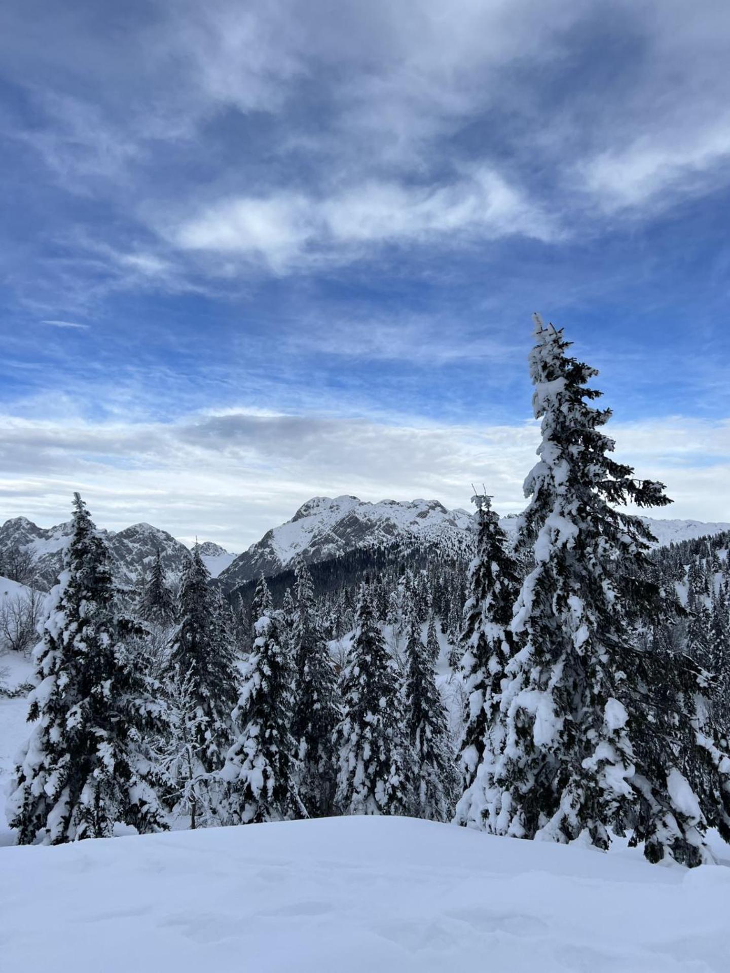 Chalet Orlica Velika Planina Stahovica Dış mekan fotoğraf