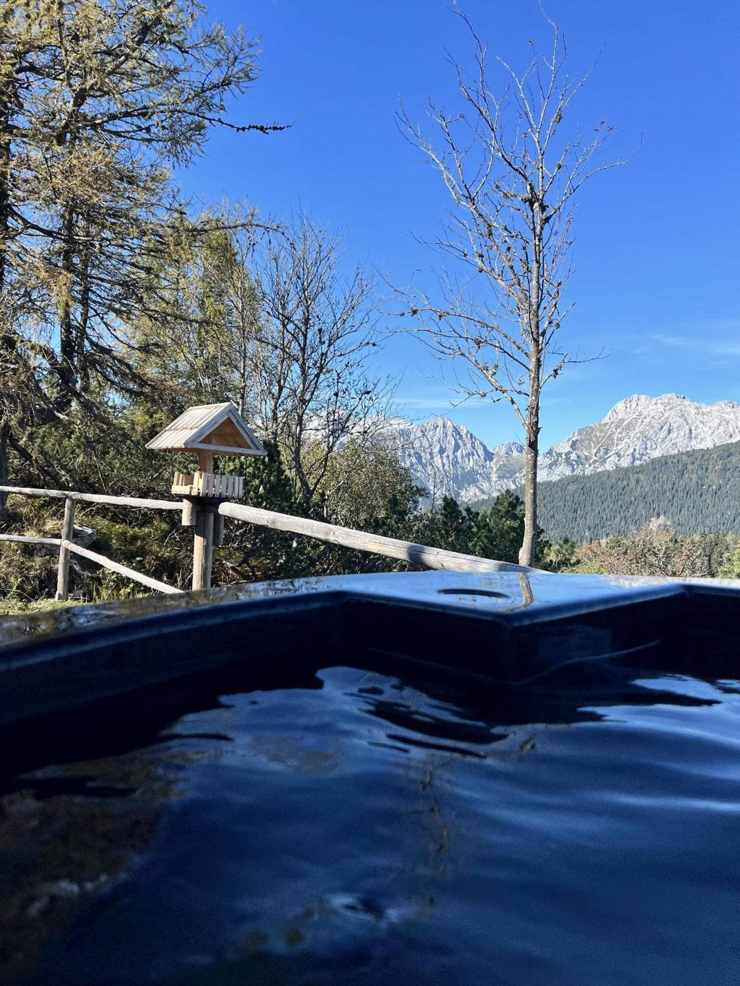 Chalet Orlica Velika Planina Stahovica Dış mekan fotoğraf